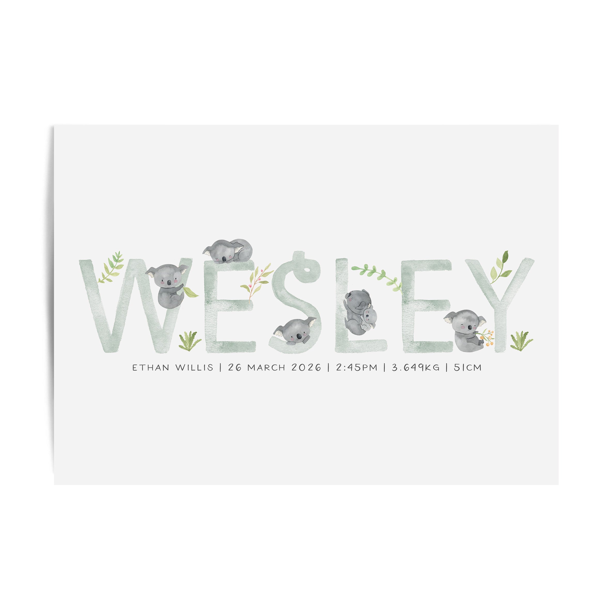 Koala Name Print