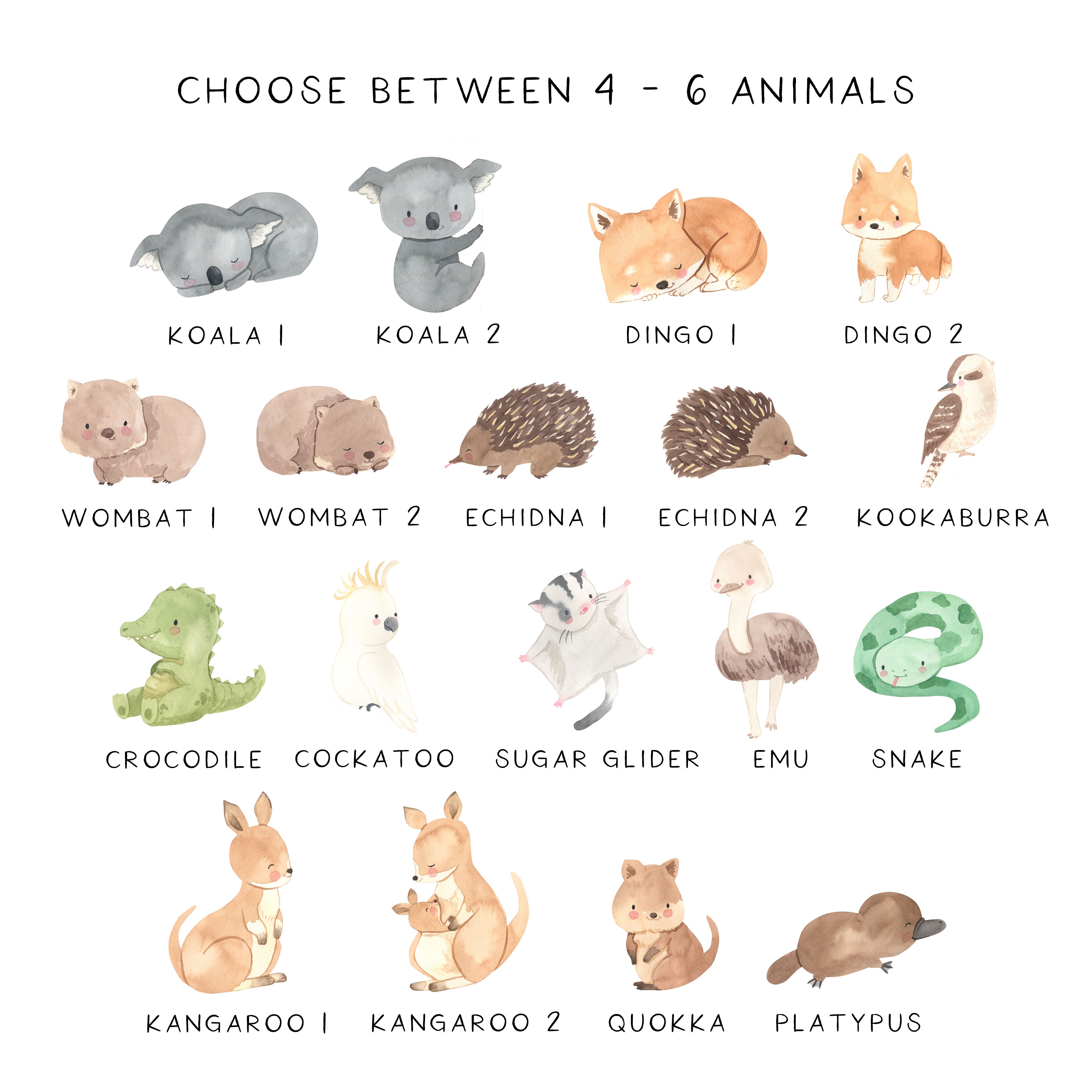 Australian Animals Name Print