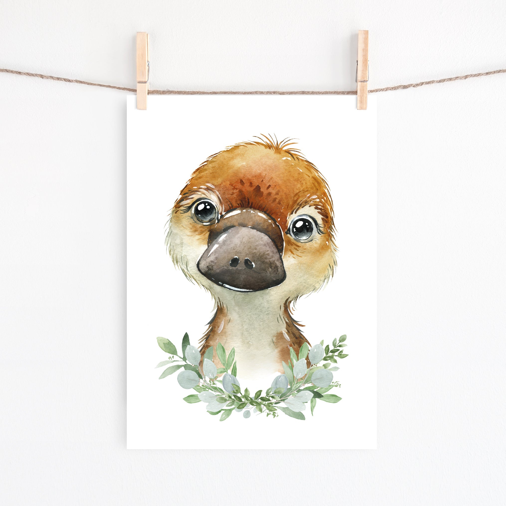 Baby Platypus Print