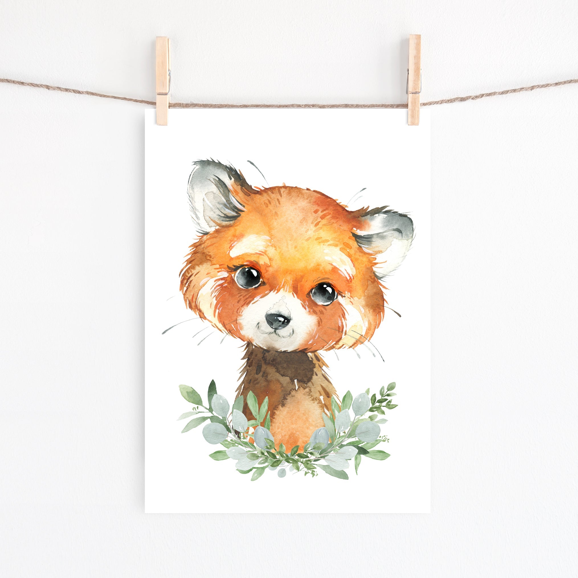 Baby Red Panda  Print